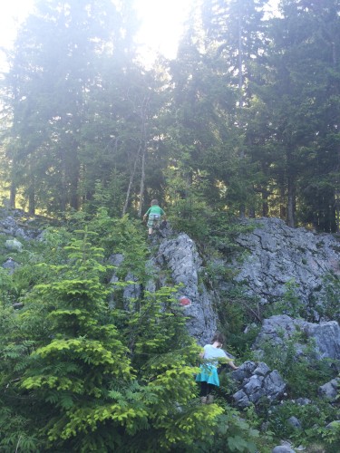 Hinter der Hütte: Noch mehr Kletterfelsen. Entspannte Eltern mit viel Grundvertrauen lassen die Kinder mal alleine rumgucken. Versicherung zahlt ja.