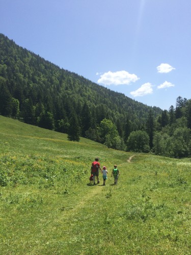 Noch ein bisschen durch die Sonne. Weiter hinten kommt dann Schattenwald und eine Stunde später sind wir wieder im Tal. Als hätten wir's geplant.