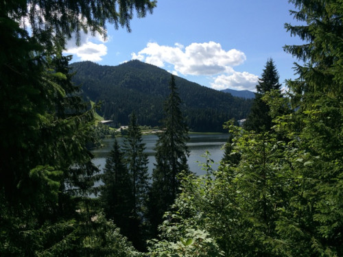 +1 für die Aussicht von der Terrasse des DAV-Hauses Spitzingsee.