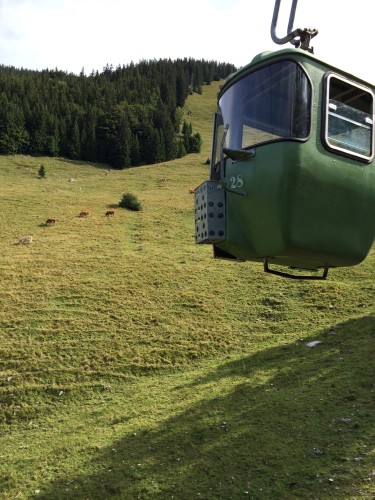 Hoch und runter mit den stilvollen Gondeln der Taubensteinbahn.