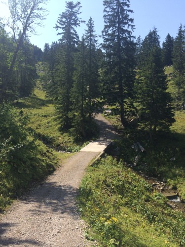 Der letzte Anstieg zum Taubensteinhaus. Ohne Gummibärchen geht hier gar nix mehr.