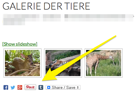 Galerie_der_Tiere___AZ_Blog