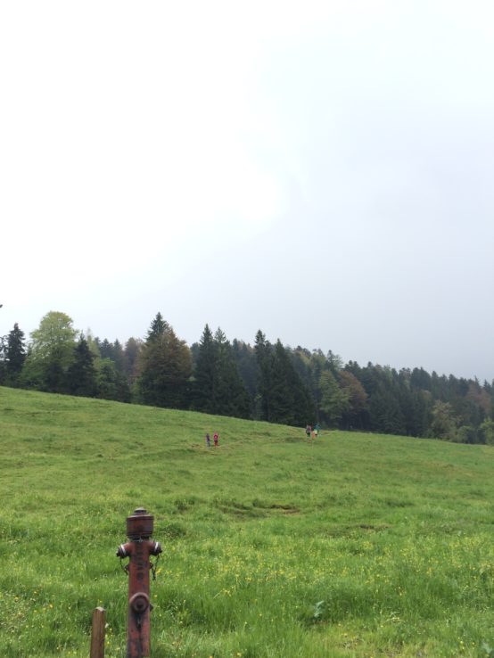 Von der Hütte aus geht es erst mal über die Weide nach oben.