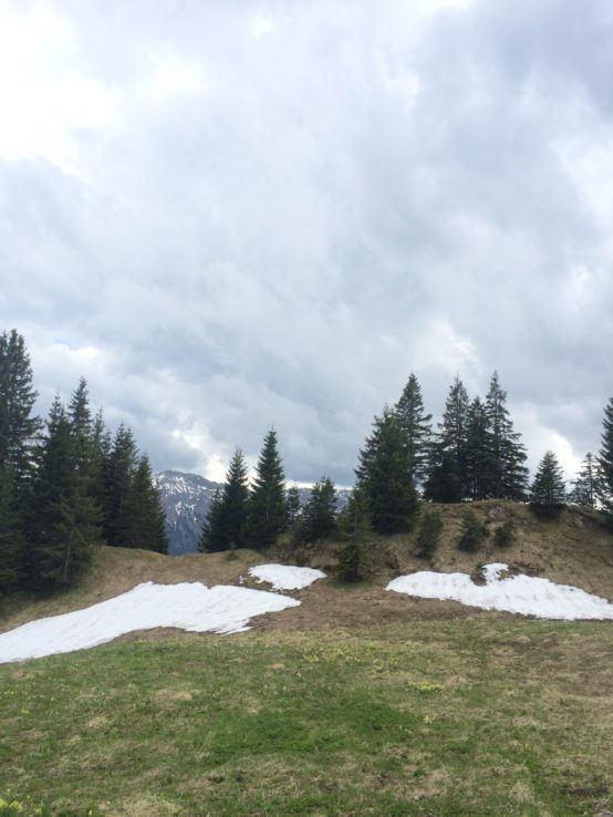 Ende Mai, zwei Tage vorher war noch Schneefall (sagt der Hüttenwirt)