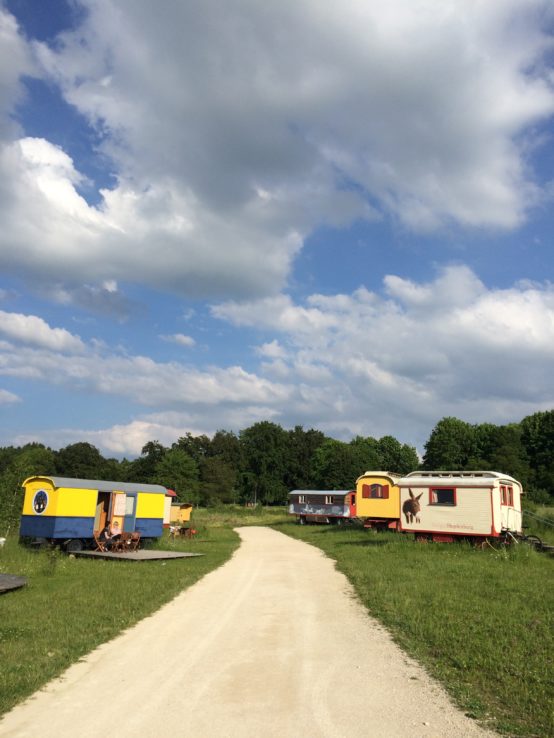 Einmal beim Zirkus Roncalli ausgemistet...