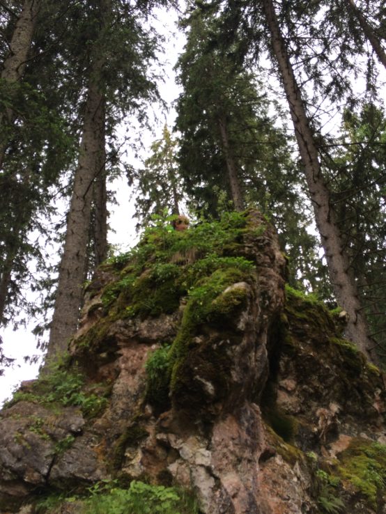 Kletterfelsen überall ...