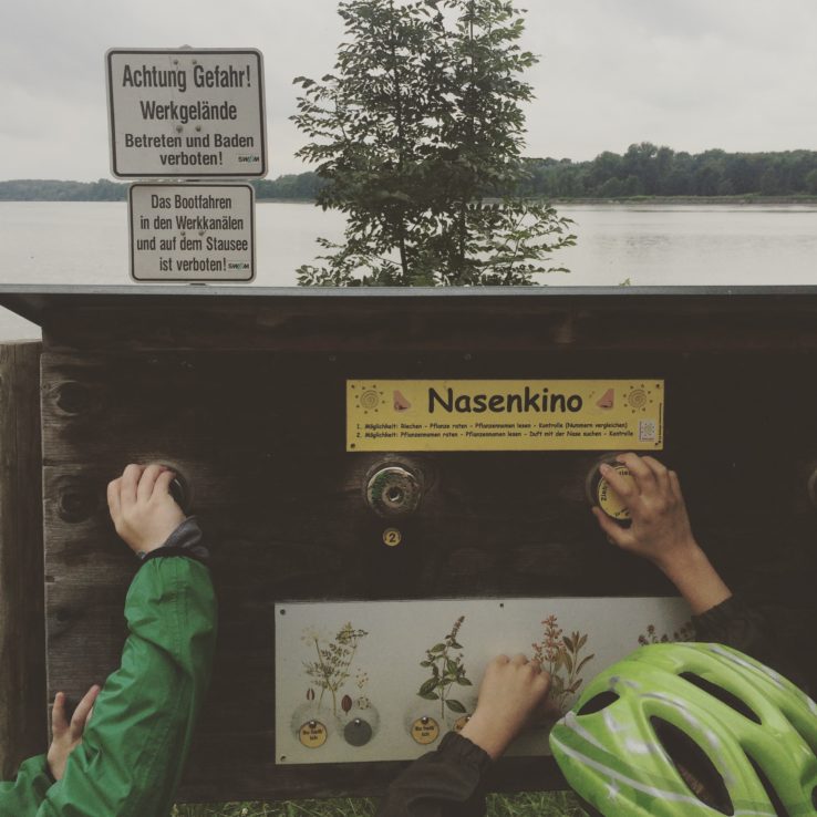 Kurz nach Moosburg. Der Echinger Stausee. Ein bisschen Naturlehrpfad und Vogelbeobachtungsspot-Spot.