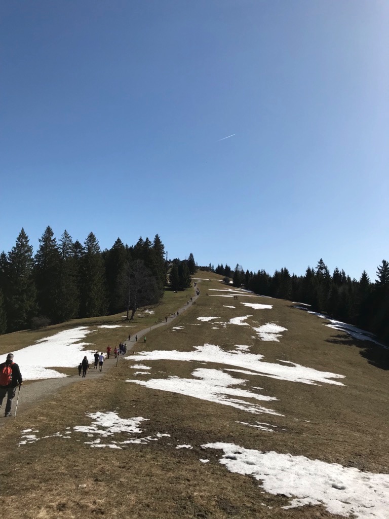 Das letzte Teilstück der Wanderautobahn zur Neureuth Alm.